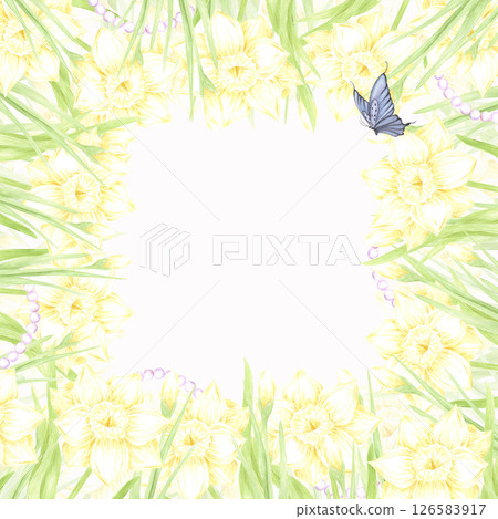 Hand drawn watercolor daffodil with green leaves butterfly and pearl frame border isolated on white background. Can be used for postcard, invitation, scrapbook and other printed products. Hand drawn watercolor daffodil with green leaves butterfly and pearl frame border isolated on white background. Can be used for postcard, invitation, scrapbook and other printed products. 126583917