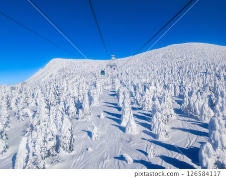 搭乘索道欣賞冰霜森林美景（山形縣藏王溫泉滑雪場） 126584117