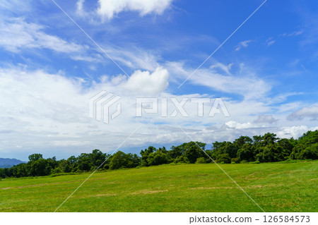 夏日草地上的天空 126584573
