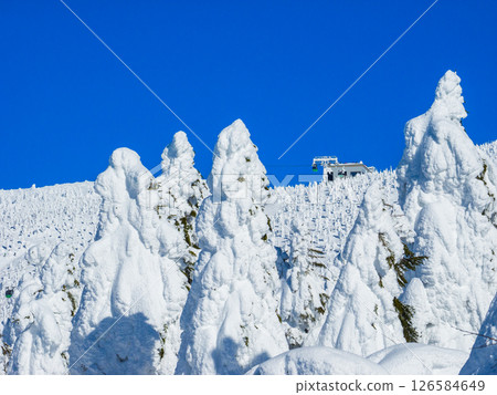 廣闊的冰霜森林,遠處可見纜車山頂站(山形縣藏王溫泉滑雪場) 廣闊的冰霜森林,遠處可見纜車山頂站(山形縣藏王溫泉滑雪場) 126584649