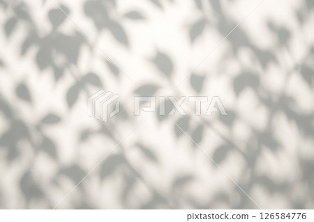 Soft natural leaf shadows falling across neutral white textured wall surface creating serene botanical background for minimalist design presentation seasonal eco friendly 126584776