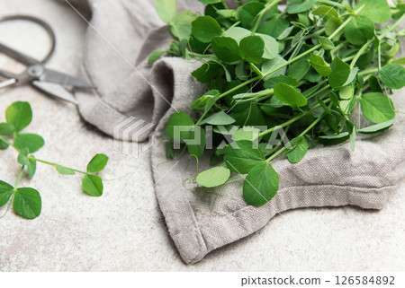 Fresh pea shoots resting on grey linen cloth with scissors Fresh pea shoots resting on grey linen cloth with scissors 126584892