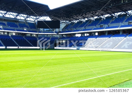 Peace Stadium: A soccer stadium with beautiful grass 126585367