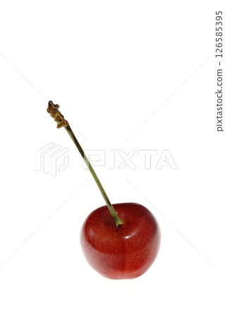 Red Cherries Shizugozen Yamagata Prefecture Red Cherries Shizugozen Yamagata Prefecture 126585395