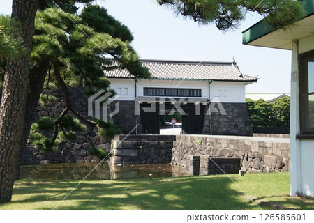 Sakashita 126585601