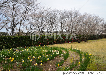 Takanezawa Genki Up Village Roadside Station #1 126585730