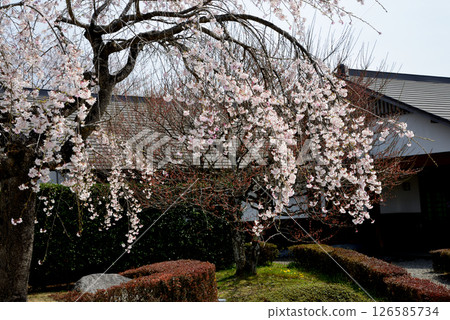 Takanezawa Genki Up Village Roadside Station #5 126585734