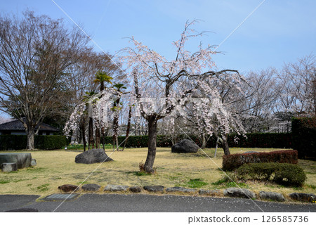 Takanezawa Genki Up Village Roadside Station #7 126585736