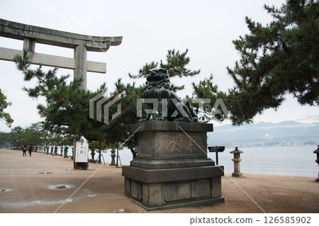 宮島嚴島神社 廣島縣 126585902