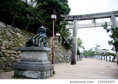 Miyajima Itsukushima Shrine Hiroshima Prefecture 126585903
