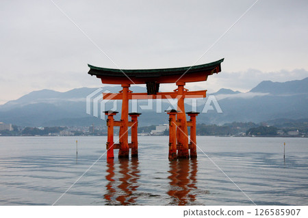 宮島嚴島神社 廣島縣 宮島嚴島神社 廣島縣 126585907