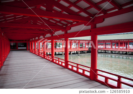 宮島嚴島神社 廣島縣 126585910