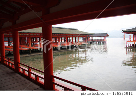 宮島嚴島神社 廣島縣 126585911