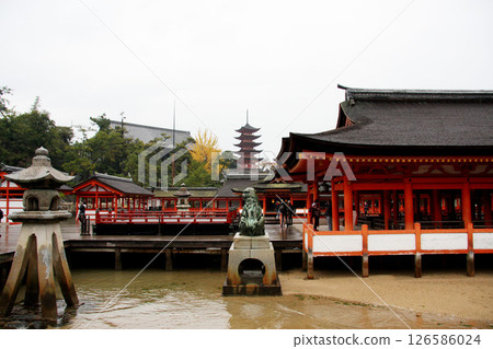宮島嚴島神社 廣島縣 126586024