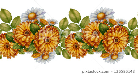seamless border with calendula and chamomile 126586148