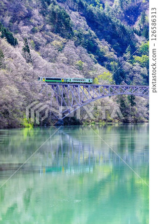 Tadami Line Train crossing the fresh green Daiichi Tadami River Bridge (Mishima Town, Fukushima Prefecture, late April) 126586313