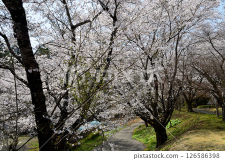 Takanezawa Genki Up Village Roadside Station #15 126586398