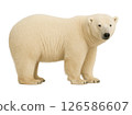 A sideways full-body photo of a polar bear 126586607