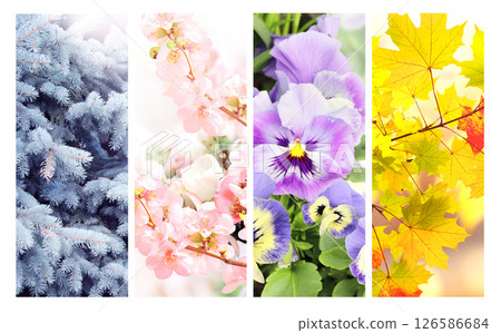 Set of nature banners depicting natural world. Four season of year. Each one features scene of nature, from snow of winter to vibrant leaves of fall. Perfect for showcasing of changing seasons Set of nature banners depicting natural world. Four season of year. Each one features scene of nature, from snow of winter to vibrant leaves of fall. Perfect for showcasing of changing seasons 126586684