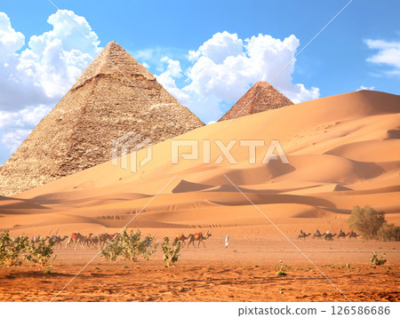 Tourists on train of camels in desert and Great Pyramids, Cairo, Egypt. A traditional tourist attraction - is camel riding, Africa. Topic of vacation, travel, trip abroad, cruises and tours Tourists on train of camels in desert and Great Pyramids, Cairo, Egypt. A traditional tourist attraction - is camel riding, Africa. Topic of vacation, travel, trip abroad, cruises and tours 126586686