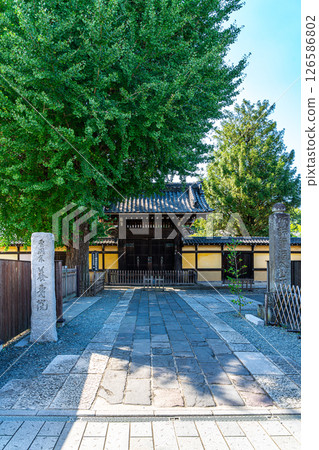 [Saitama Prefecture] Yojuin Temple of the Soto sect in Kawagoe 126586802