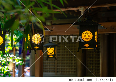 [埼玉縣] 川越冰川神社的燈籠 126586814