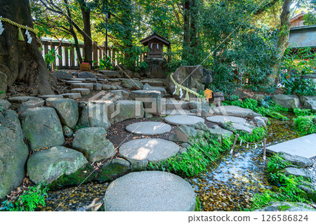 [Saitama Prefecture] The Dog Rock at Hikawa Shrine in Kawagoe 126586824