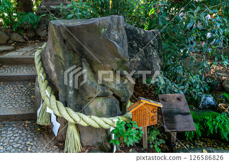 [Saitama Prefecture] The Dog Rock at Hikawa Shrine in Kawagoe 126586826