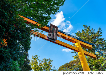 [Saitama Prefecture] The large torii gate of Hikawa Shrine in Kawagoe 126586827