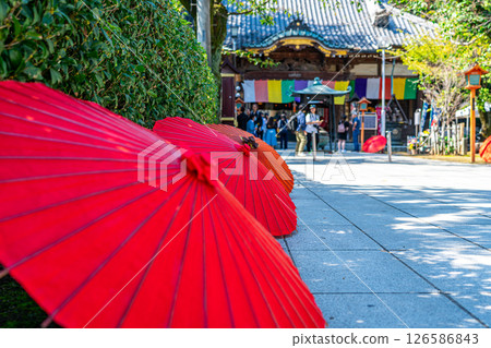 [Saitama Prefecture] Kawagoe's Renkeiji Temple with its beautiful Japanese umbrellas along the approach to the temple 126586843