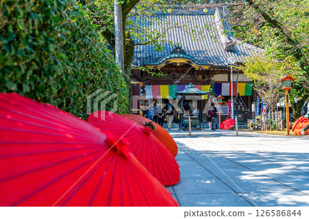 [Saitama Prefecture] Kawagoe's Renkeiji Temple with its beautiful Japanese umbrellas along the approach to the temple 126586844