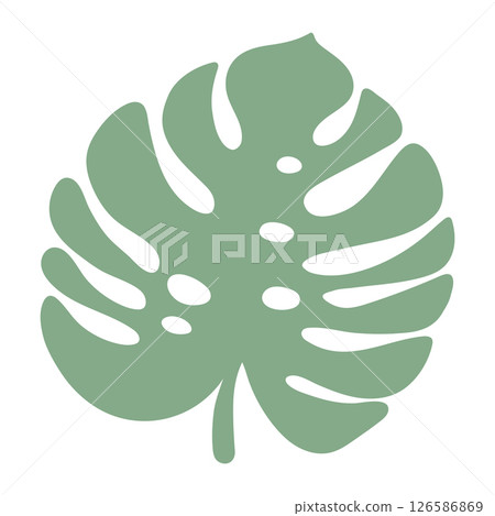 Green tropical monstera leaf illustration for modern design. Tropical element adds fresh tropical vibe to project needs 126586869