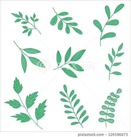 Green leaf design. Clean natural design. Perfect for eco design projects Green leaf design. Clean natural design. Perfect for eco design projects 126586873
