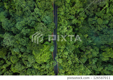 Aerial drone shot reveals a winding road,Road Infrastructure and Forest Conservation in a Lush Green Landscape 126587011