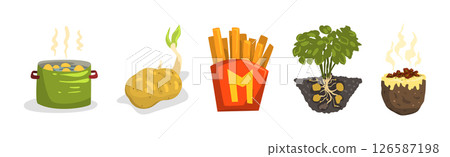 Potato Food Item and Products Object Vector Set 126587198