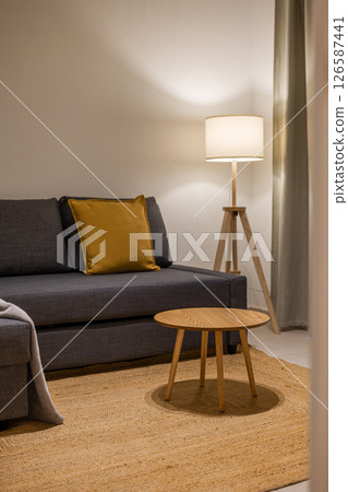 Warmly decorated living space with textured rug, gray sectional sofa, wood coffee table and floor lamp 126587441