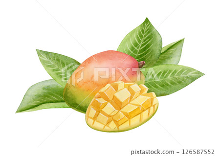 Ripe mango fruits with leaves watercolor illustration isolated on white. Ripe summer food whole and sliced in cubes. Tropical heathy clip art for juice designs 126587552