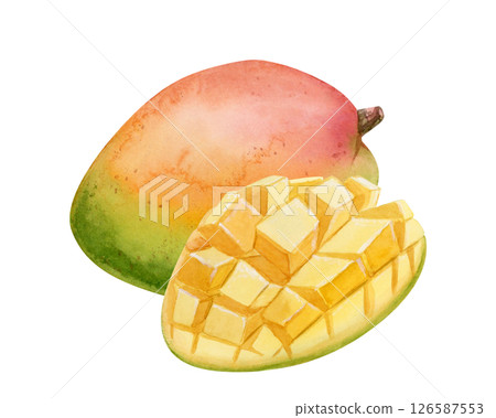 Watercolor mango fruits hand drawn illustration isolated on white. Ripe summer food whole and sliced in cubes. Tropical heathy clip art for juice designs 126587553