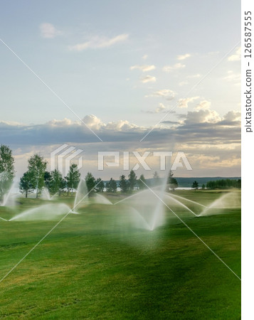 Irrigation sprinklers 126587555