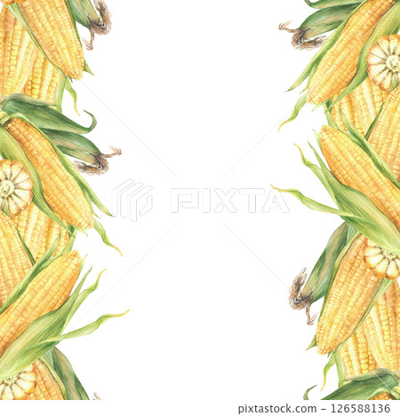 Corncobs seamless border frame. Yellow cut and whole maize cobs with green husks. Hand drawn illustration Watercolor vegetables harvest, food design, corn oil label print. Isolated from background 126588136