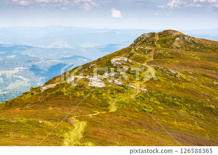 path up the steep hill. carpathian mountain landscape in summer. grassy alpine scenery of ukrainian highlands on a sunny day with fluffy clouds on the blue sky. hard way to success concept 126588365