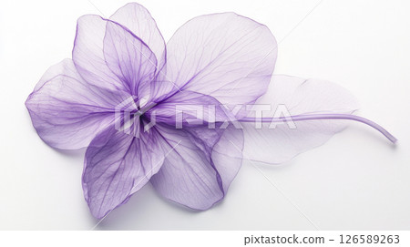 Ethereal Translucent Flowers in Soft Pastel Shades. BAnner 126589263