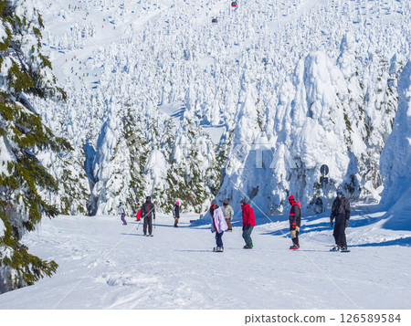 Snowboarders skiing down a gentle slope with frost-covered trees behind them (Yamagata Prefecture, Zao Onsen Ski Resort, frost-covered trees course) 126589584