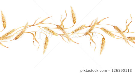 Seamless border of wheat 126590118