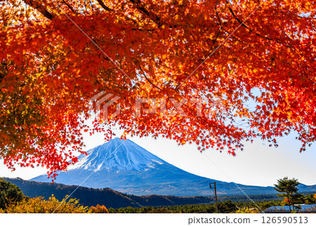 The majestic Mt. Fuji on a clear, sunny morning The majestic Mt. Fuji on a clear, sunny morning 126590513