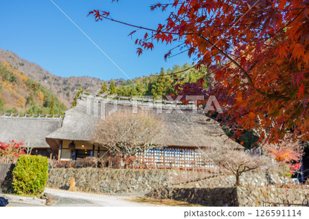 An original Japanese landscape, Lake Saiko Iyashinosato Nemba in mid-autumn 126591114