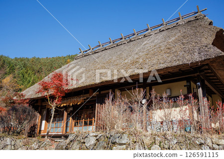 An original Japanese landscape, Lake Saiko Iyashinosato Nemba in mid-autumn 126591115