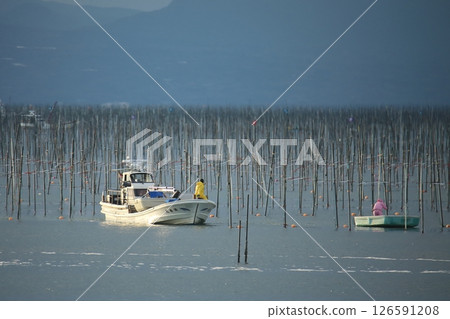 大牟田市有明海紫菜場， 126591208