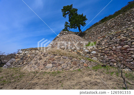 Tottori Castle Tenkyumaru "Makiishi-gaki" - A unique spherical stone wall Tottori Castle Tenkyumaru "Makiishi-gaki" - A unique spherical stone wall 126591333