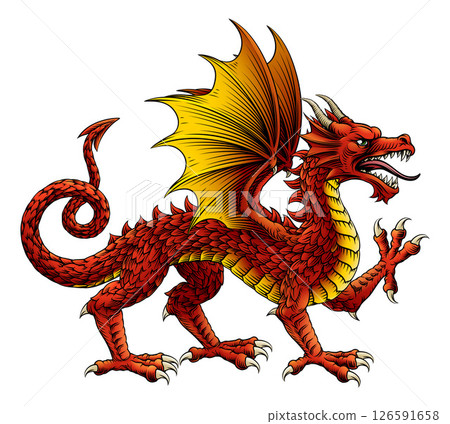 Heraldic Dragon Coat of Arms Heraldry Animal Heraldic Dragon Coat of Arms Heraldry Animal 126591658